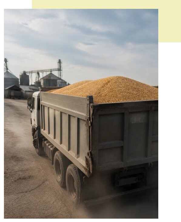 Перевозка сельхозпродукции навалом в Соликамск по цене от 3092 р. | Агросервис-Слк